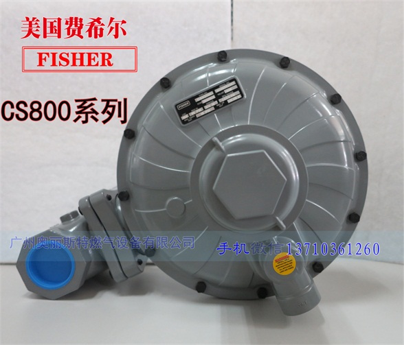 CS800IR DN50/2{FisherMϣ{ 
PI: