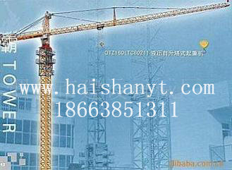 QTZ160QTZ160Tower crane 
PI: