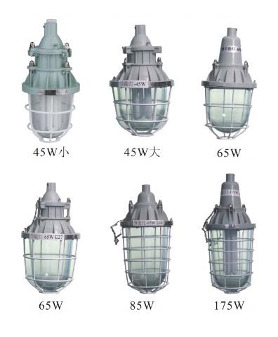 (ji)ܟBAD-JExplosion-proof lamps BAD -  
P(gun)I: