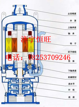 BQW15-70-7.5ˮ늱ã15P707.5kw늱 
PI: