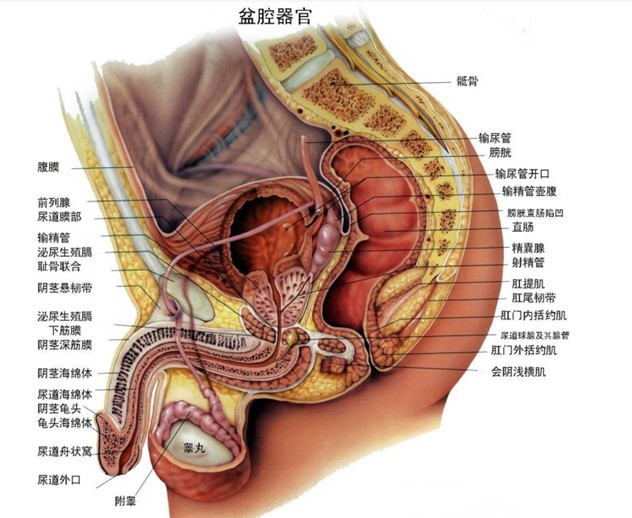 ؕtԺǰg 
PI: