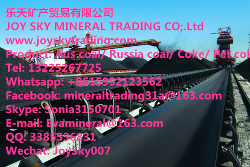 Australia/Russia/Indonesia Steam Coal Supplier 
PI: