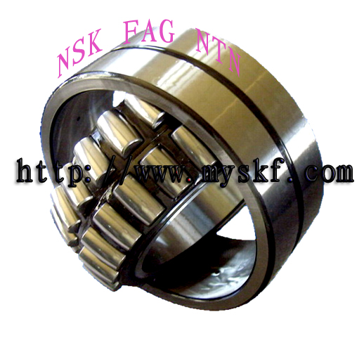 MS/SKF{S/CеS 
PI: